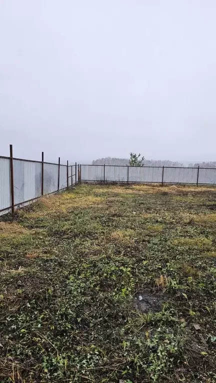 Участок в Рязанская область, Пронск рп  (6.0 сот.) - Фото 2