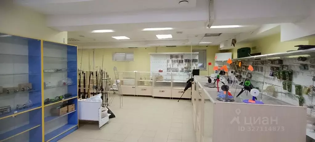 Помещение свободного назначения в Вологодская область, Вологда ... - Фото 1