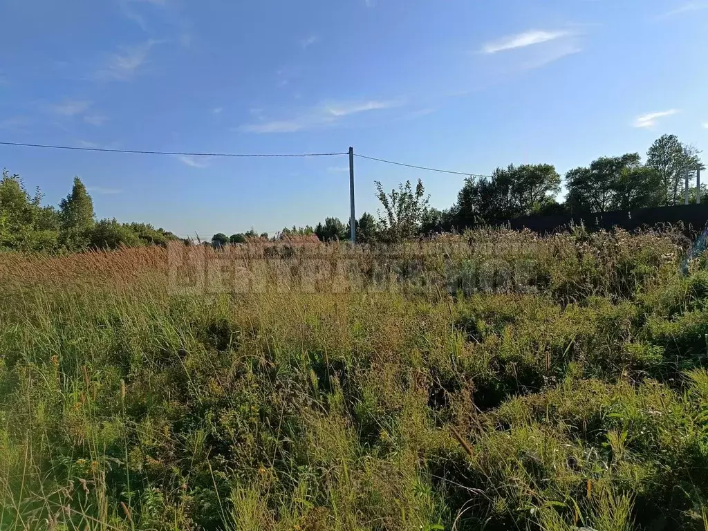 Участок в Смоленская область, Смоленский муниципальный округ, д. ... - Фото 2