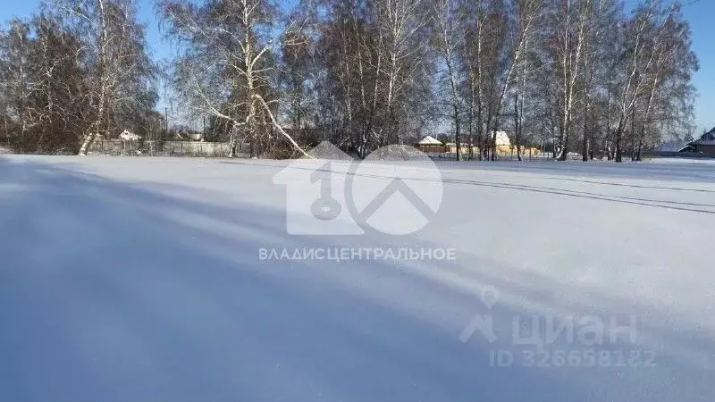 Участок в Новосибирская область, Ордынский район, с. Красный Яр ул. ... - Фото 2