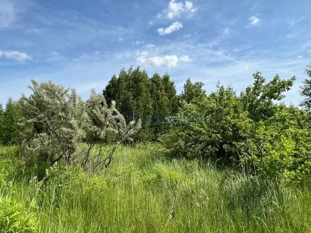 Участок в Нижегородская область, Нижний Новгород Первоцвет СНТ, ул. ... - Фото 2