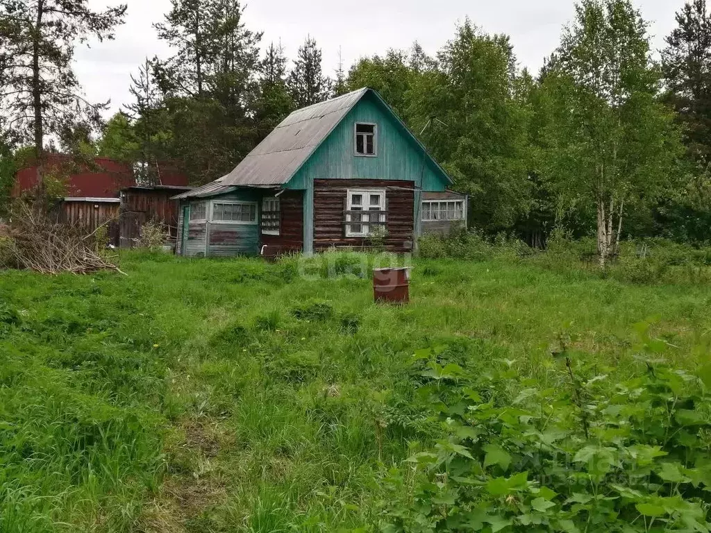 Дом в Архангельская область, Архангельск Чайка садовое товарищество, ... - Фото 0