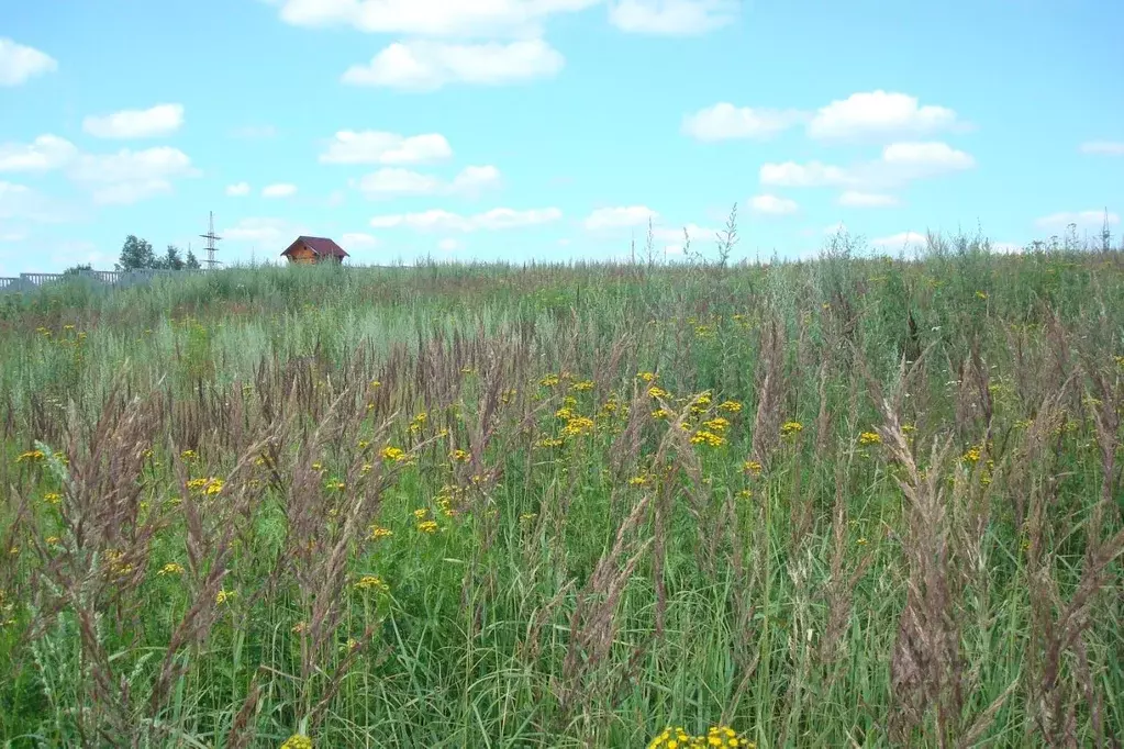 Участок в Смоленская область, Смоленский муниципальный округ, д. ... - Фото 1