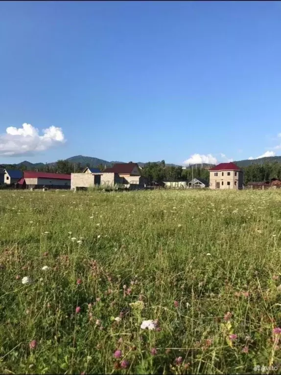 Участок в Алтай, Чемальский район, с. Чемал  (12.0 сот.) - Фото 1