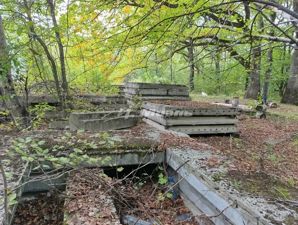 Участок в Крым, Симферопольский район, Добровское с/пос, с. ... - Фото 2