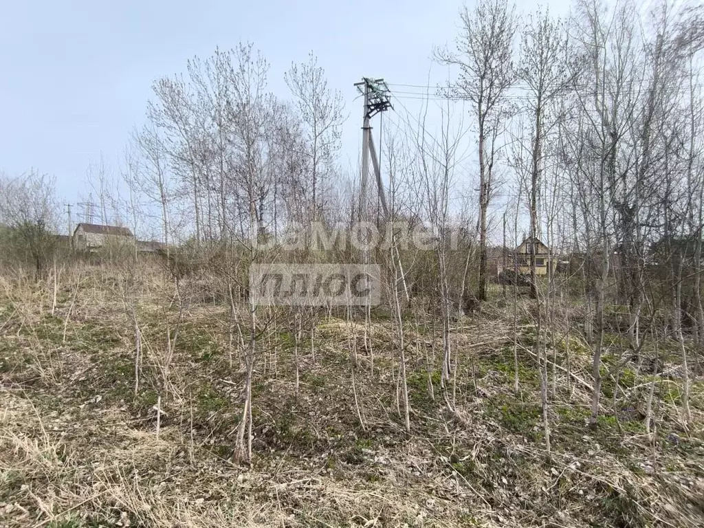 Участок 9,6 сот. (ИЖС) - Фото 1