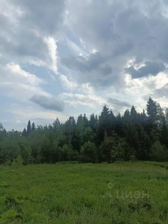 Участок, 6 сот., сельхоз (снт или днп) - Фото 1