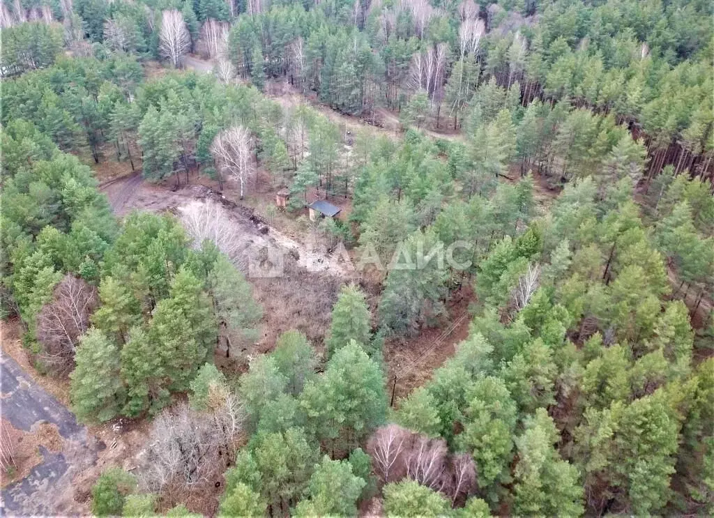 Участок в Владимирская область, Судогодский район, Вяткинское ... - Фото 1