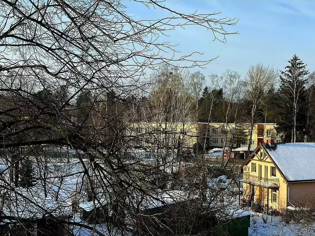 1-к кв. Калининградская область, Светлогорск ул. Гоголя, 8/2 (37.6 м) - Фото 1