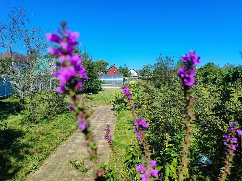 Участок в Московская область, Клин городской округ, Мичуринец садовое ... - Фото 0