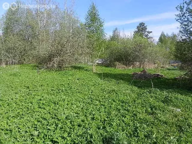 Участок в Ленинградская область, Тосненское городское поселение, село ... - Фото 0