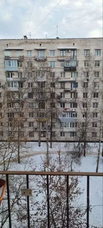 1-к кв. Санкт-Петербург ул. Стойкости, 17 (34.0 м) - Фото 1