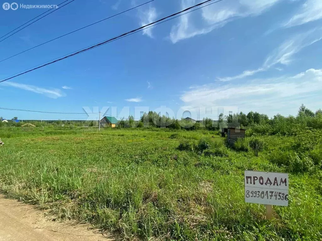 Участок в Криводановский сельсовет, ДНТ Озерки (12 м) - Фото 0