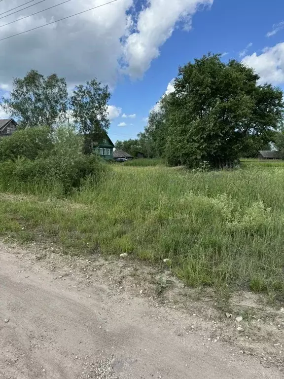 Дом в Новгородская область, Старорусский район, Великосельское с/пос, ... - Фото 1