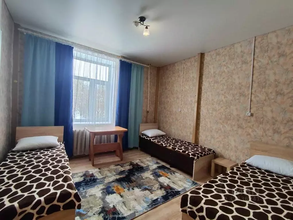 3-к кв. Воронежская область, Борисоглебск Бланская ул. (64.0 м) - Фото 1