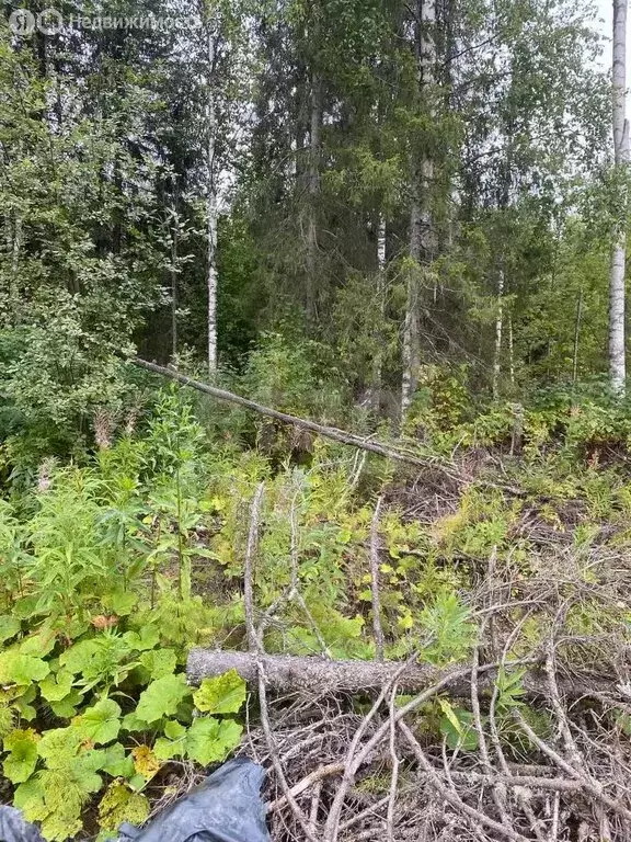 Участок в Ухта, посёлок УРМЗ (13.06 м) - Фото 1
