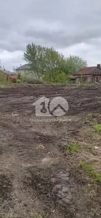 Участок в Новосибирская область, Новосибирский район, Станционный ... - Фото 1
