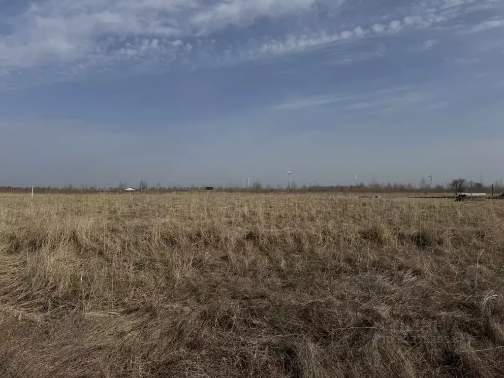 Участок в Ульяновская область, Чердаклинский район, Красноярское ... - Фото 1