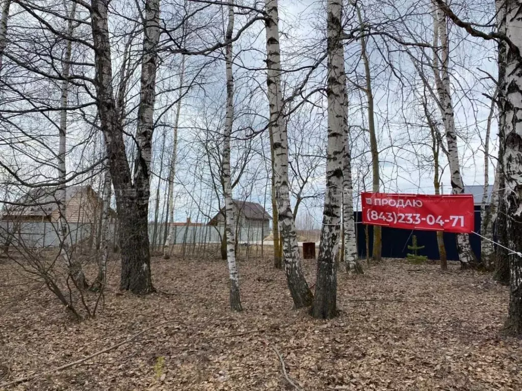 Участок в Татарстан, Зеленодольский район, Большеключинское с/пос, с. ... - Фото 2