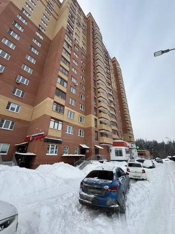 1-к кв. Московская область, Богородский городской округ, д. Щемилово ... - Фото 2