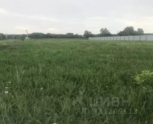 Участок в Московская область, Зарайск муниципальный округ, д. ... - Фото 1
