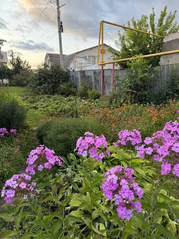 Дом в Знаменка, Советская улица, 85 (28.7 м) - Фото 1