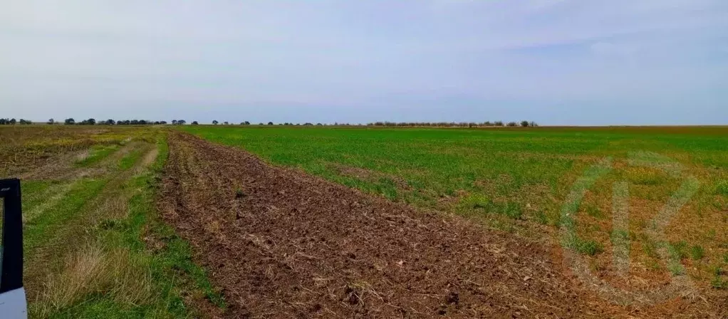 Участок в Крым, Сакский район, с. Добрушино  (132.0 сот.) - Фото 0