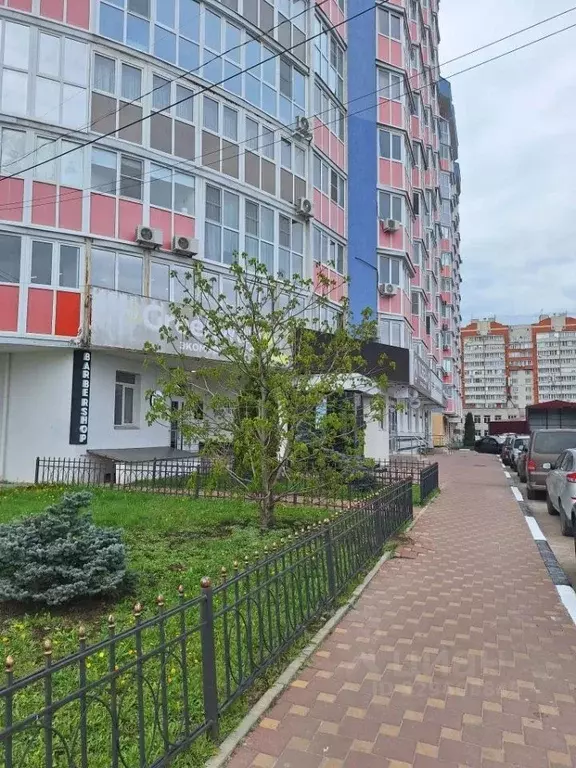 1-к кв. Воронежская область, Воронеж бул. Победы, 42 (38.6 м) - Фото 2