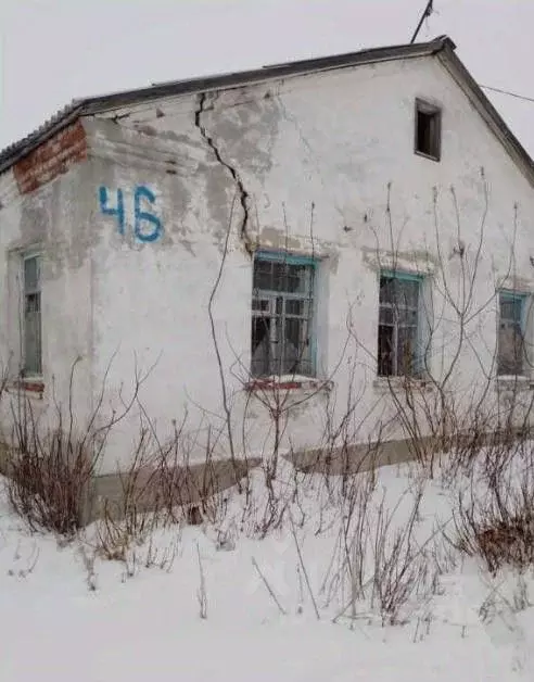 Помещение свободного назначения в Курганская область, Щучанский ... - Фото 1