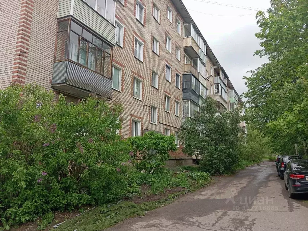 2-к кв. Московская область, Красноармейск Пушкинский городской округ, ... - Фото 1