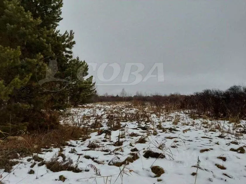 Участок в Тюменская область, Тюменский район, с. Червишево  (10.0 ... - Фото 1