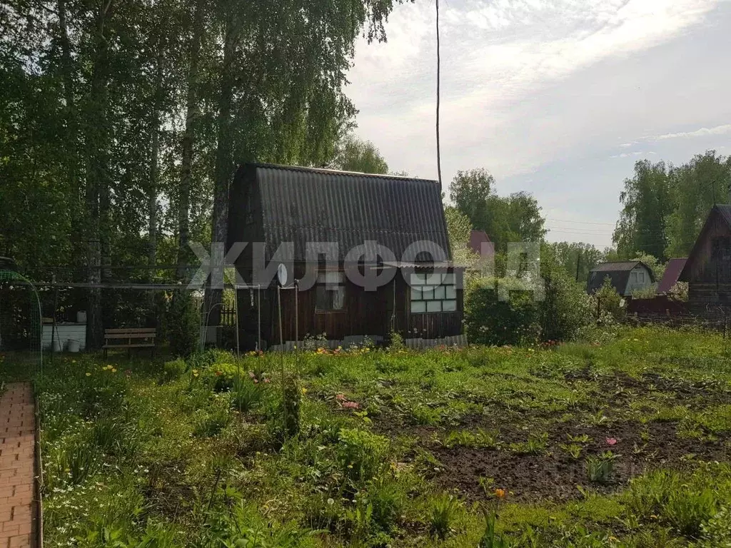 Дом в Новосибирская область, Мошковский район, Березка ДНТ  (32 м) - Фото 1