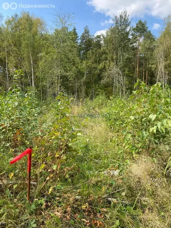 Участок в Нижегородская область, Кстовский муниципальный округ, ... - Фото 1