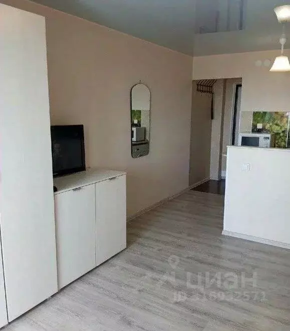 Студия Кировская область, Киров ул. Современная, 2 (24.0 м) - Фото 1