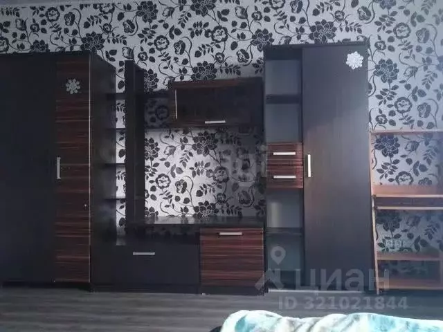 Студия Новосибирская область, Новосибирск ул. Татьяны Снежиной, 29/1 ... - Фото 0