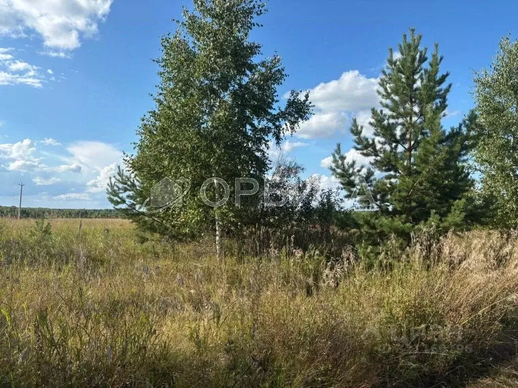 Участок в Тюменская область, Тюменский район, д. Речкина  (8.8 сот.) - Фото 1