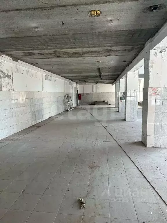 Торговая площадь в Московская область, Ногинск Богородский городской ... - Фото 2