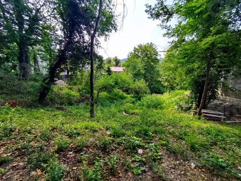 Участок в Краснодарский край, Сочи  (15.0 сот.) - Фото 1