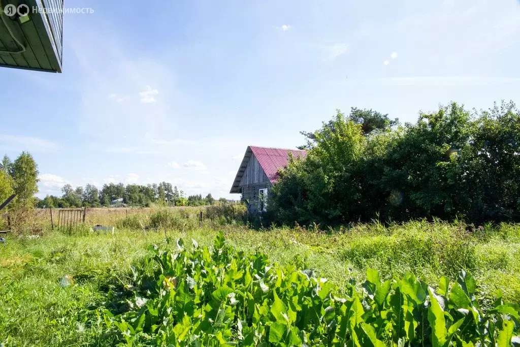 Участок в Пушкин, территория Новокондакопшино, 5 (13 м) - Фото 1