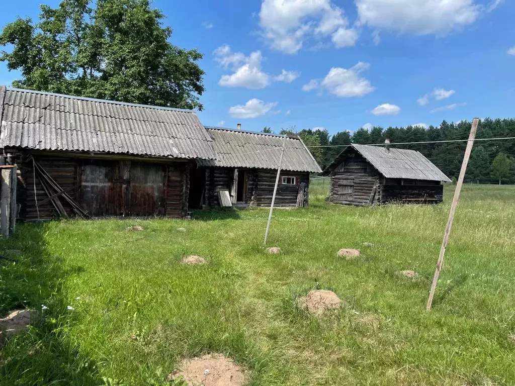Участок в Тверская область, Максатиха пгт  (10.0 сот.) - Фото 1