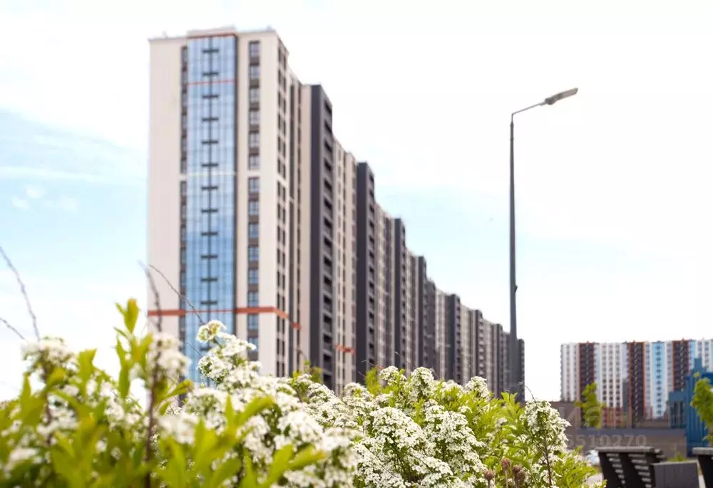 Помещение свободного назначения в Санкт-Петербург ул. Вадима Шефнера, ... - Фото 1