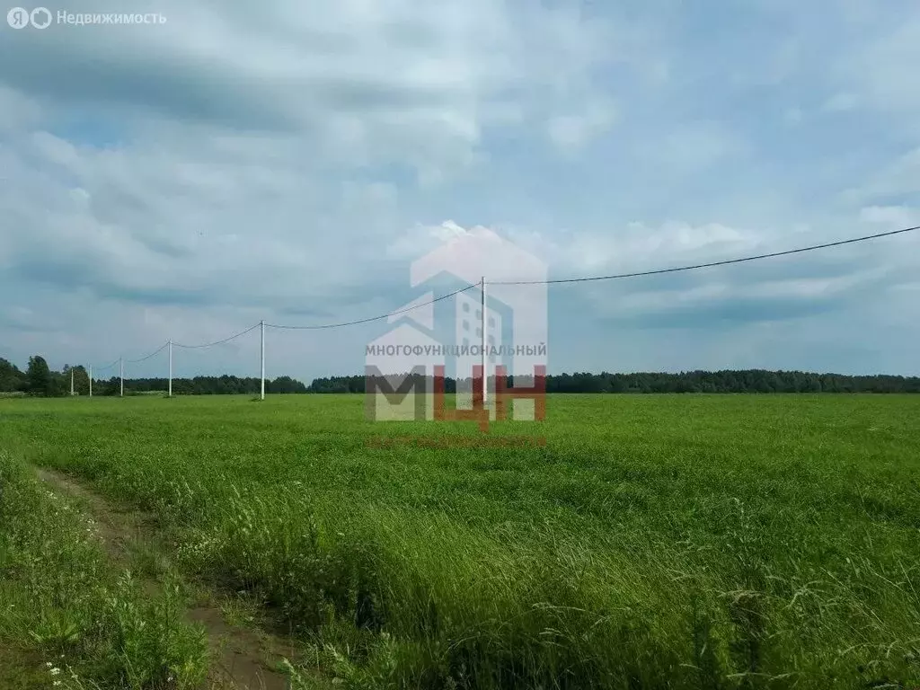 Участок в Тверская область, Конаковский муниципальный округ, деревня ... - Фото 2