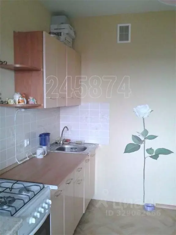 1-к кв. Московская область, Истра муниципальный округ, с. Павловская ... - Фото 2