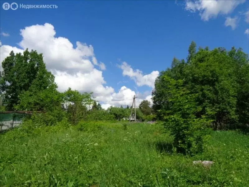 Участок в Мшинское сельское поселение, деревня Малая Ящера (20 м) - Фото 0