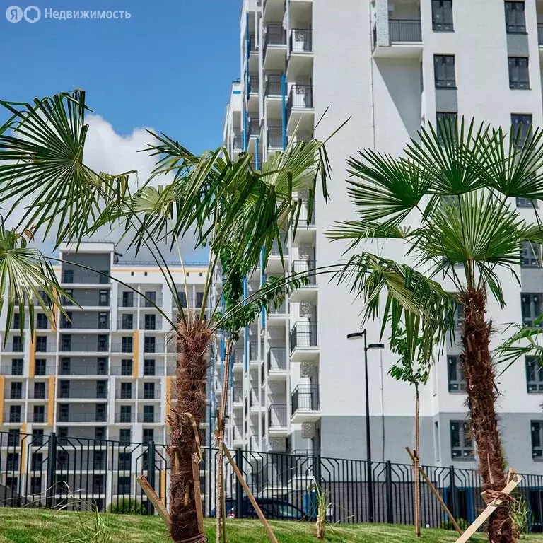 1-комнатная квартира: Сочи, улица Искры, 88к1 (27 м) - Фото 2