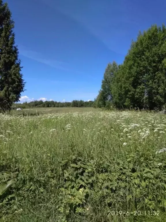 Участок в Тверская область, Калининский муниципальный округ, д. ... - Фото 1