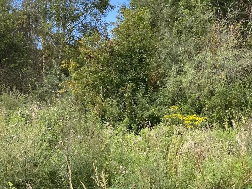 Участок в Московская область, Клин городской округ, д. Трехденево  ... - Фото 2