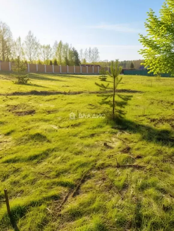 Участок в Владимирская область, Ковровский муниципальный округ, д. ... - Фото 2