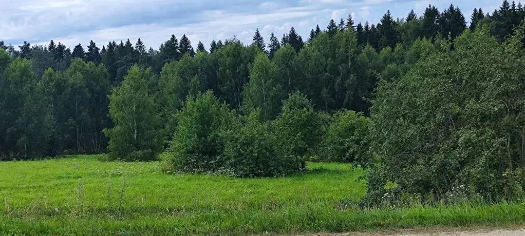 Участок в Московская область, Солнечногорск городской округ, д. Мостки ... - Фото 1