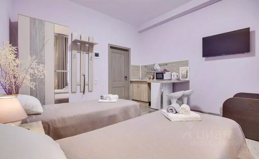 1-к кв. Санкт-Петербург Пушкинская ул., 18 (25.0 м) - Фото 2